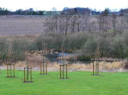 The natur around BJ-Gear in Stilling